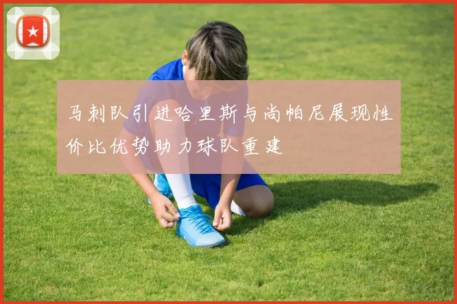 马刺队引进哈里斯与尚帕尼展现性价比优势助力球队重建