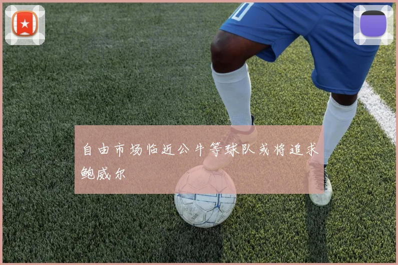 自由市场临近公牛等球队或将追求鲍威尔